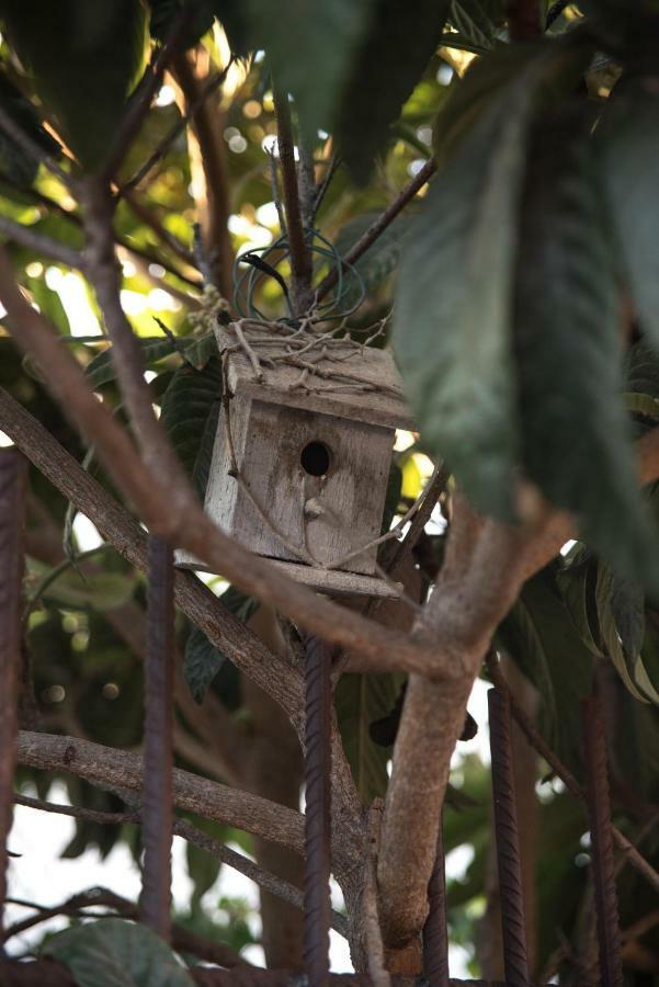 阿德耶 Casa Jacinta Con Jacuzzi旅馆 外观 照片